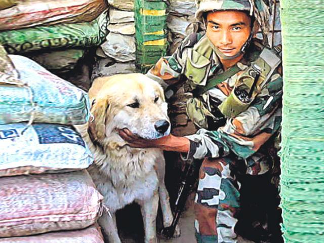 A dog with a sentry at a post near LoC in Poonch. (Rahul Singh / HT Photo) A dog with a sentry at a post near LoC in Poonch. (Rahul Singh / HT Photo)