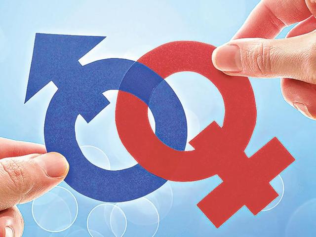 Article image Article image