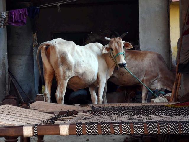 The man was lynched because of rumours that he was engaged in cattle smuggling, according to his brother.(PTI Photo)