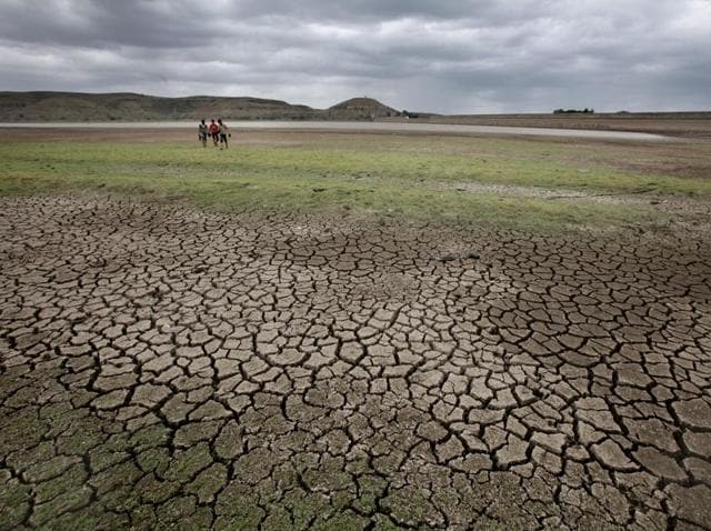 Parched land in Beed, Maharashtra.(HT file photo)