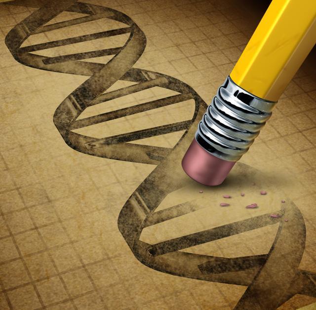 Scientists are exploring procedures which can manipulate genes and pull out ageing cells. (Photo: Shutterstock) Scientists are exploring procedures which can manipulate genes and pull out ageing cells. (Photo: Shutterstock)