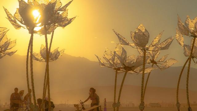 Pulse and Bloom installation at Burning Man festival by Shilo