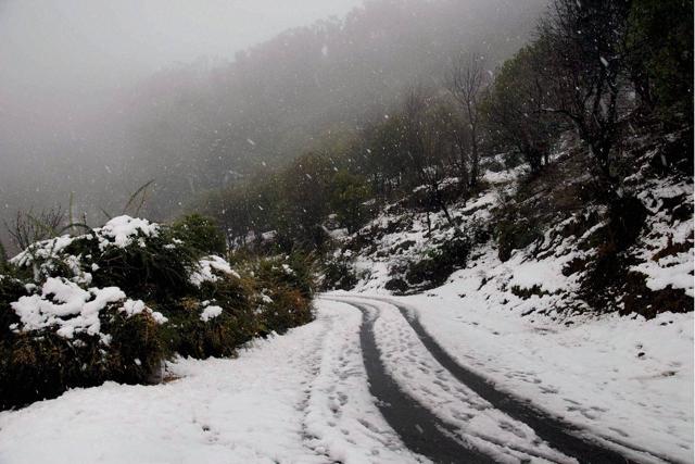 The Mughal road connecting Shopian in south Kashmir with Rajouri and Poonch closed due to fresh snowfall in Poonch on Sunday. (PTI) The Mughal road connecting Shopian in south Kashmir with Rajouri and Poonch closed due to fresh snowfall in Poonch on Sunday. (PTI)