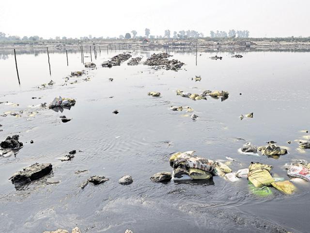 Officials of the two states have indulged in a war of words over the illegal bridge being constructed over the Yamuna by the sand mining mafia.(HT File Photo)