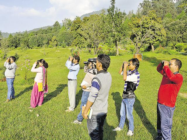 How to Start Birding with Your Kids - Childhood By Nature