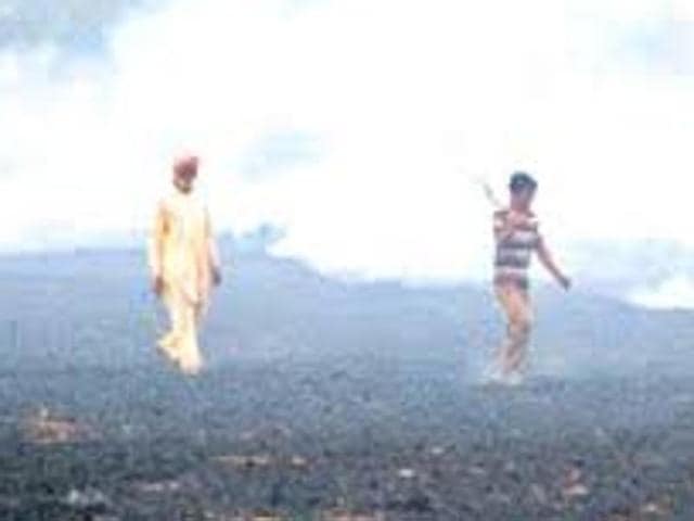 Despite the ban, farmers continue to burn the crop residue, which affects the fertility of soil. (HT Photo) Despite the ban, farmers continue to burn the crop residue, which affects the fertility of soil. (HT Photo)