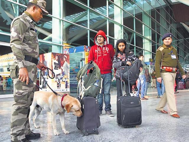 A CISF sniffer dog checks baggage at the Indira Gandhi International Airport in New Delhi.(Arvind Yadav/HT File Photo)