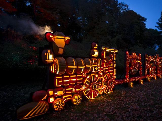 A train made of hand-carved pumpkin Jack O' Lanterns is displayed on the grounds of Van Cortlandt Manor House and Museum during the Great Jack O' Lantern Blaze in New York October 27, 2015. (REUTERS)
