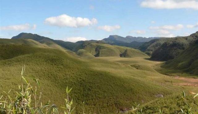 The Japfu Peak is the second highest peak in this region. (shikhar.com)