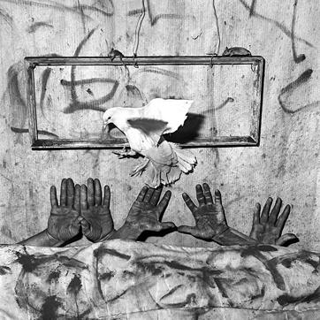 ‘Five Hands’ (2006) from the series, Asylum of the Birds. (Roger Ballen and PHOTOINK) ‘Five Hands’ (2006) from the series, Asylum of the Birds. (Roger Ballen and PHOTOINK)