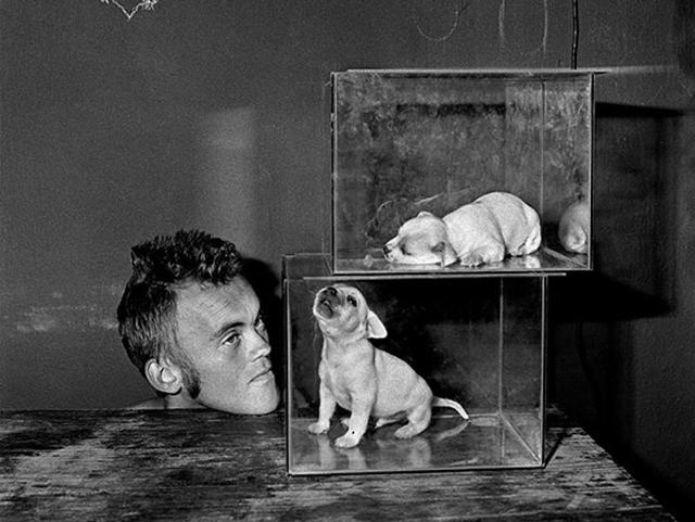 ‘Puppies Inside Fishtanks’ (2000) from the series, Shadow Chamber. (Roger Ballen and PHOTOINK)