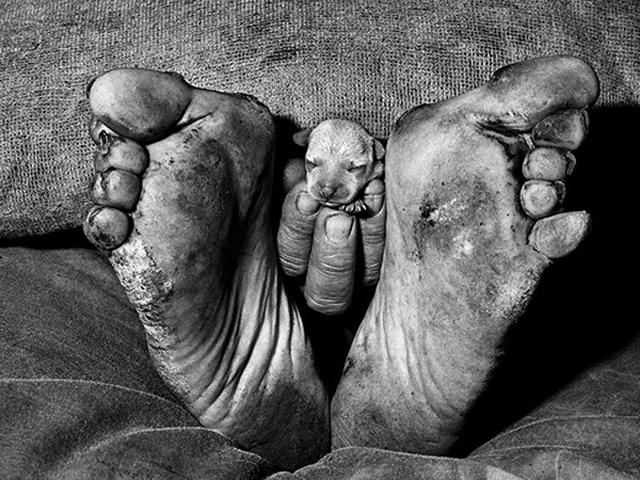 ‘Puppy Between Feet’ (1999) from the series, Outland. (Roger Ballen and PHOTOINK)