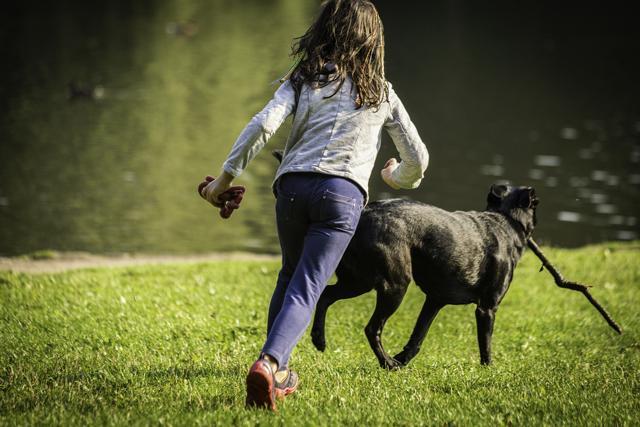 Children who grew up with dogs had about 15 percent less asthma than children without dogs. (Shutterstock) Children who grew up with dogs had about 15 percent less asthma than children without dogs. (Shutterstock)