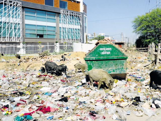 Gurgaon did not enter the Centre’s Smart City project as it fared poorly in open defecation and solid waste management. (HT file photo) Gurgaon did not enter the Centre’s Smart City project as it fared poorly in open defecation and solid waste management. (HT file photo)