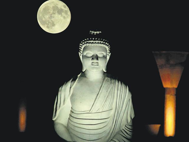 The Buddha at Sukhna Lake captured by Madhu Pandit. (HT Photo) The Buddha at Sukhna Lake captured by Madhu Pandit. (HT Photo)