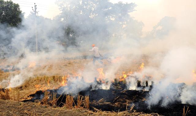 Despite the ban, farmers continue to ban stubble in Punjab and neighbouring state of Haryana. (Bharat Bhushan/HT) Despite the ban, farmers continue to ban stubble in Punjab and neighbouring state of Haryana. (Bharat Bhushan/HT)