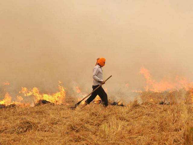 Stubble burning in the states of Punjab and Haryana has led to thick blanket of smog over entire northern region(Bharat Bhushan/HT) Stubble burning in the states of Punjab and Haryana has led to thick blanket of smog over entire northern region(Bharat Bhushan/HT)