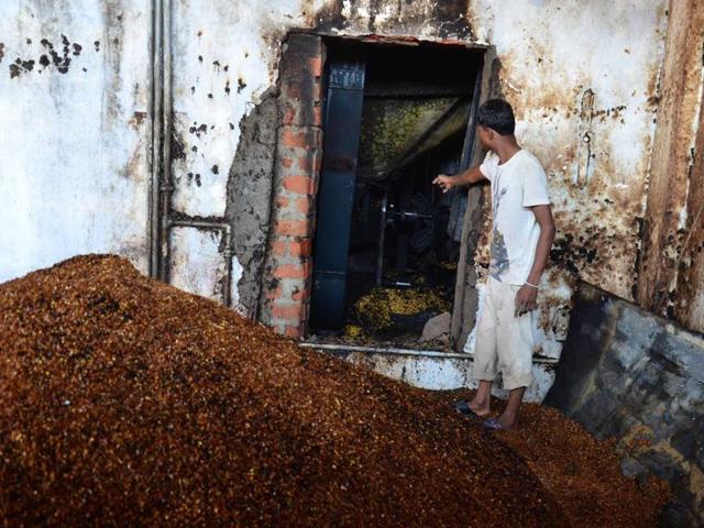 More than three quintals of pulses and equipment were destroyed in a fire that broke out at the Bhawani Dal Mill at Bairgarh township in Bhopal on Friday. (HT photo) More than three quintals of pulses and equipment were destroyed in a fire that broke out at the Bhawani Dal Mill at Bairgarh township in Bhopal on Friday. (HT photo)