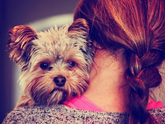 What is fun for you could spell hell for your pets… (Shutterstock) What is fun for you could spell hell for your pets… (Shutterstock)