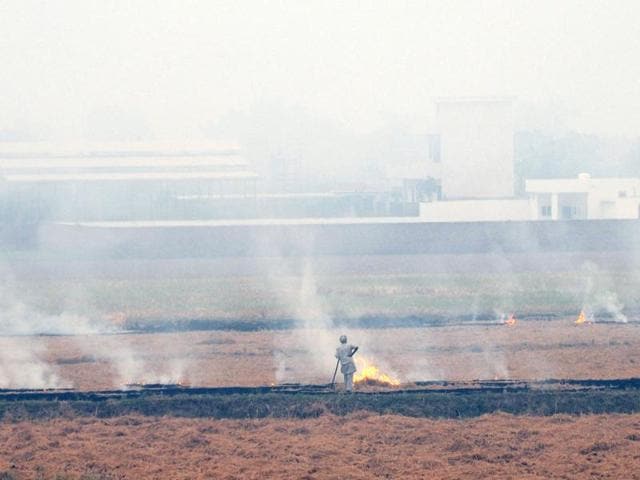 Short of time and money to clear their fields for the next crop, cultivators opt for the banned practice of stubble burning; the absence of incentives as well as access to agricultural equipment for straw management also influences their decision. (Bharat Bhushan/HT) Short of time and money to clear their fields for the next crop, cultivators opt for the banned practice of stubble burning; the absence of incentives as well as access to agricultural equipment for straw management also influences their decision. (Bharat Bhushan/HT)