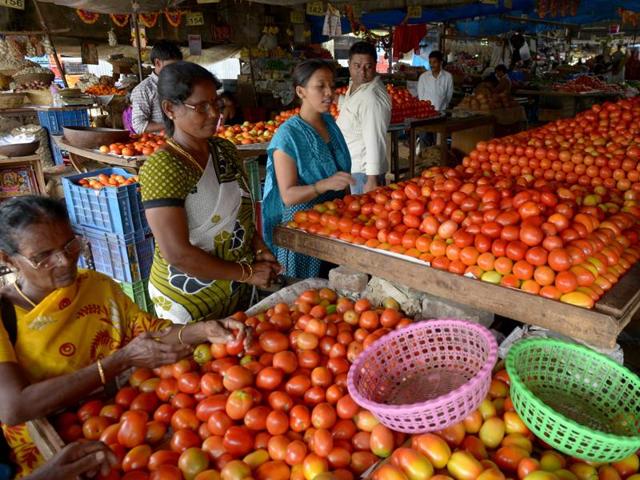 The price of tomato at the APMC wholesale market in Vashi was Rs14 to Rs18 a kg on October 23. It has now soared to Rs24 to Rs28 a kg. (File photo) The price of tomato at the APMC wholesale market in Vashi was Rs14 to Rs18 a kg on October 23. It has now soared to Rs24 to Rs28 a kg. (File photo)