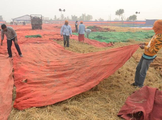 A pandal being prepared for the event at the venue of Sarbat Khalsa on Monday. (Sameer Sehgal/HT Photo)
