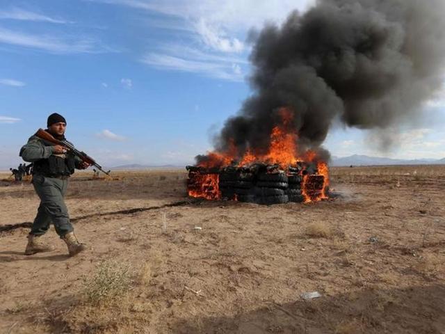 An Afghan policeman walks in front of a burning pile of illegal narcotics in the Guzarah district of Herat province, Afghanistan. (Reuters Photo) An Afghan policeman walks in front of a burning pile of illegal narcotics in the Guzarah district of Herat province, Afghanistan. (Reuters Photo)