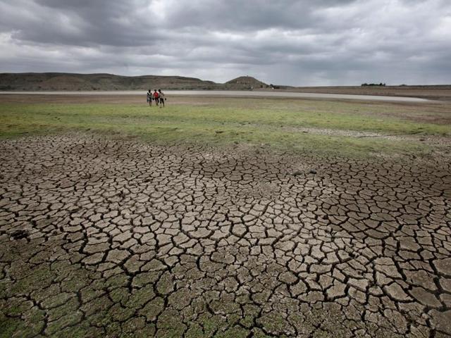 Farmers are incurring heavy losses due to crop damage and scanty rainfall in Bundelkhand.(Representative image)