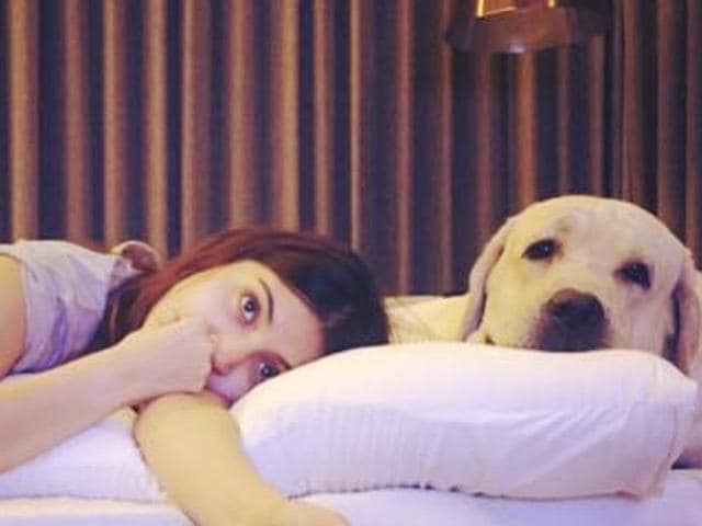 Anushka Sharma began a campaign for pets this Diwali and it has been catching momentum, at least online. (FACEBOOK/ANUSHKASHARMA) Anushka Sharma began a campaign for pets this Diwali and it has been catching momentum, at least online. (FACEBOOK/ANUSHKASHARMA)
