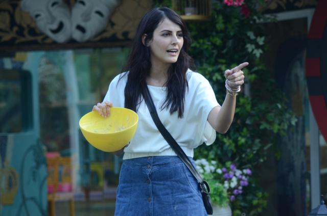 Mandana Karimi in Bigg Boss 9. (Colors TV)