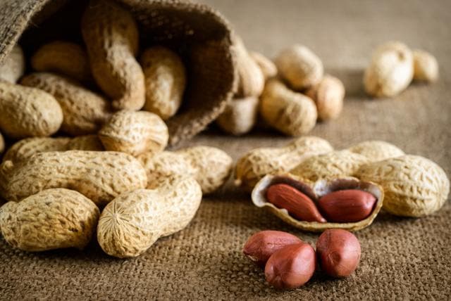 Enjoying peanuts with the whole family, tucked in your warm quilt is life. (Shutterstock) Enjoying peanuts with the whole family, tucked in your warm quilt is life. (Shutterstock)