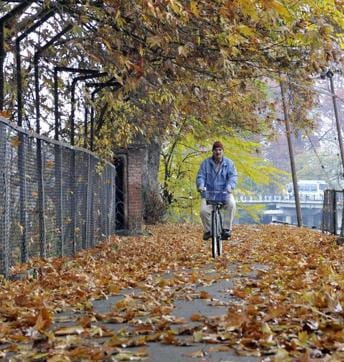 A man rides a bicycle on the road covered in leaves, on Friday morning, enjoying the warmth of Autumn. After seeing the leaves of tree in autumn, one Persian visitor had exclaimed, “Che Nar” what fire! (Waseem Andrabi/ HT photo)