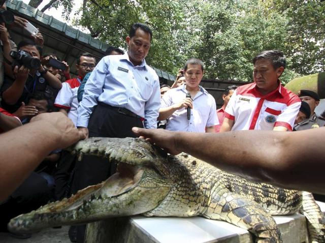 The head of the Indonesia's National Narcotics Board Budi Waseso (L) looks at a crocodile during a visit to a crocodile farm in Medan, North Sumatra. When Indonesia's anti-drugs czar announced plans to guard a death-row prison island with crocodiles, the government rushed to explain that it was just a joke. (Reuters via Antara Photo) The head of the Indonesia's National Narcotics Board Budi Waseso (L) looks at a crocodile during a visit to a crocodile farm in Medan, North Sumatra. When Indonesia's anti-drugs czar announced plans to guard a death-row prison island with crocodiles, the government rushed to explain that it was just a joke. (Reuters via Antara Photo)