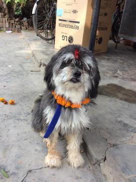  (Photo by Opinder Kaur Sekhon)