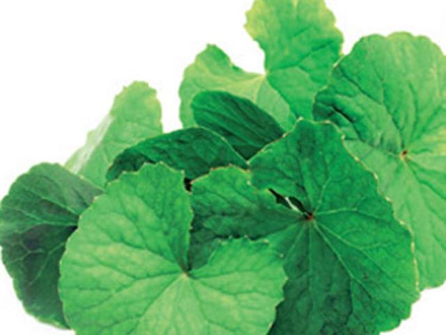 Article image Article image