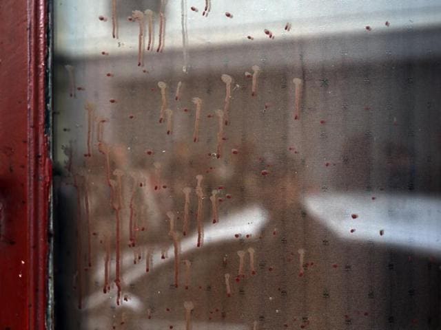 Dried blood can be seen on the window of the Carillon cafe in Paris, a day after over 120 people were killed in a series of shooting and explosions.(AP Photo)