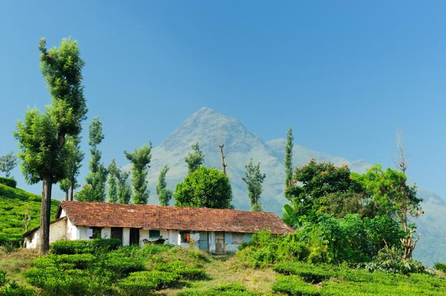 Wayanad, located in the Western Ghats in Kerala, has secured ninth position in the world with a score of 96.36%. (Shutterstock) Wayanad, located in the Western Ghats in Kerala, has secured ninth position in the world with a score of 96.36%. (Shutterstock)