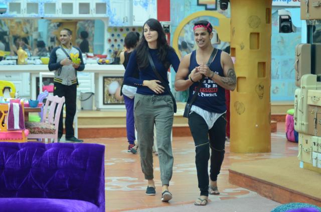 Mandana and Prince during a task.
