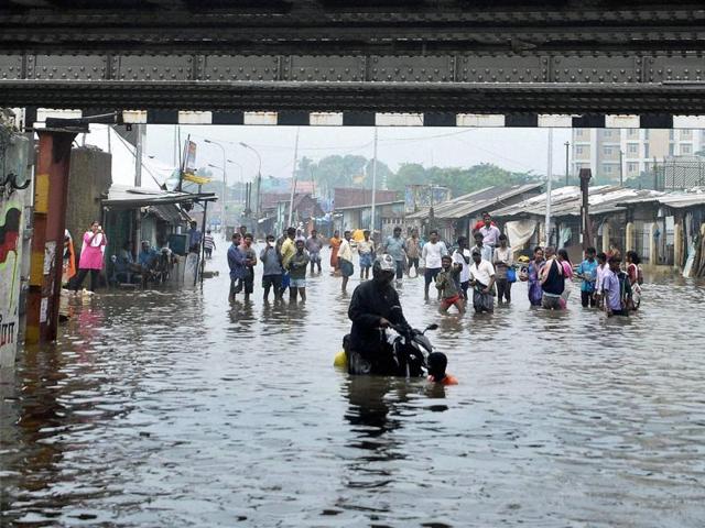 Vehicles wade through a water logged road following heavy rains in Chennai. (PTI) Vehicles wade through a water logged road following heavy rains in Chennai. (PTI)