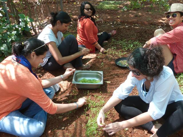 “After almost three hours of digging, laying dry hay on the soil beds and filling them with soil again, the beds were ready to sow seeds of vegetables like okra, brinjal, cabbage, tomatoes and spinach,” says Iyer.