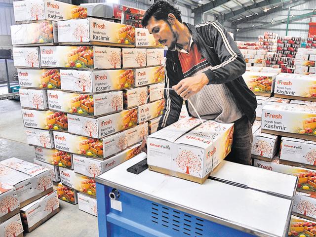 Ready for shipping! Apples and oranges ready for their journey from the factory to your plate. (Waseem Andrabi/HT Photo)