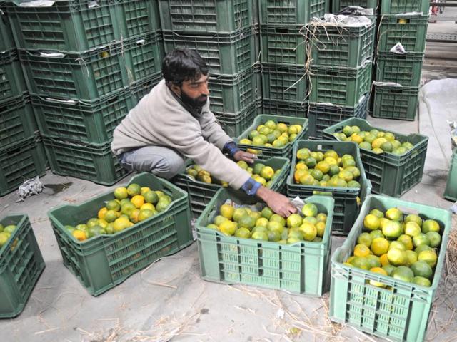 Shunting of oranges taking places . Storage places with controlled atmosphere are in demand in Kashmir to save fruits from rotting. (Waseem Andrabi/HT Photo)