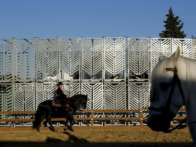 An amazon rides a purebred Spanish horse during the Sicab International Pre Horse Fair. (REUTERS) An amazon rides a purebred Spanish horse during the Sicab International Pre Horse Fair. (REUTERS)