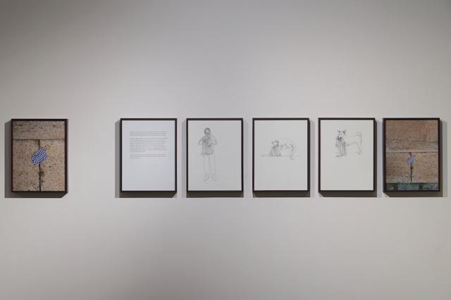 Mariam Suhail’s A Weaver has been Reweaving that explores the possible fate of a shirt that has been torn to shreds. (Photo: Ravi Choudhary/HT )