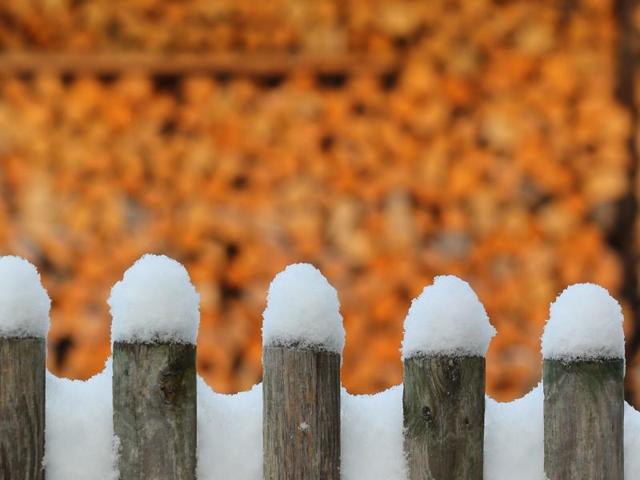 Snow covers a fence in Kaufbeuren, southern Germany, after first snow of the season fell in the region. (AFP) Snow covers a fence in Kaufbeuren, southern Germany, after first snow of the season fell in the region. (AFP)