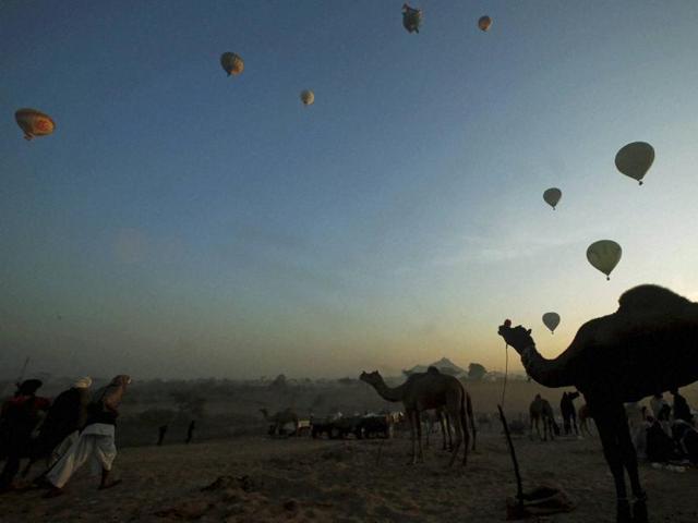 Hot air balloons fly over camels at the Pushkar Fair in Pushkar, Rajasthan. (PTI)
