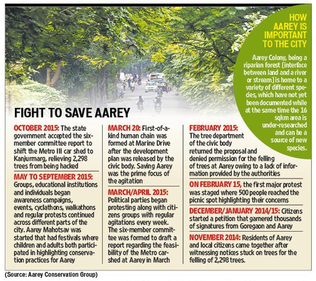 SPOT ORDER NEW marché Aグループ（500 trees have to be axed at  