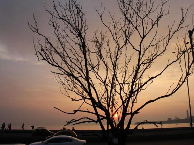 On Wednesday, the humidity levels in south Mumbai and the suburbs were 87% and 77% respectively. (Bhushan Koyande) On Wednesday, the humidity levels in south Mumbai and the suburbs were 87% and 77% respectively. (Bhushan Koyande)