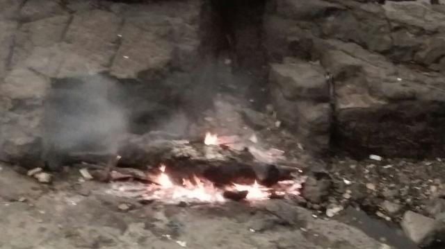 Officials from Brihanmumbai Municipal Corporation’s (BMC) disaster management cell said they burnt the carcass at the spot. (HT Photo) Officials from Brihanmumbai Municipal Corporation’s (BMC) disaster management cell said they burnt the carcass at the spot. (HT Photo)