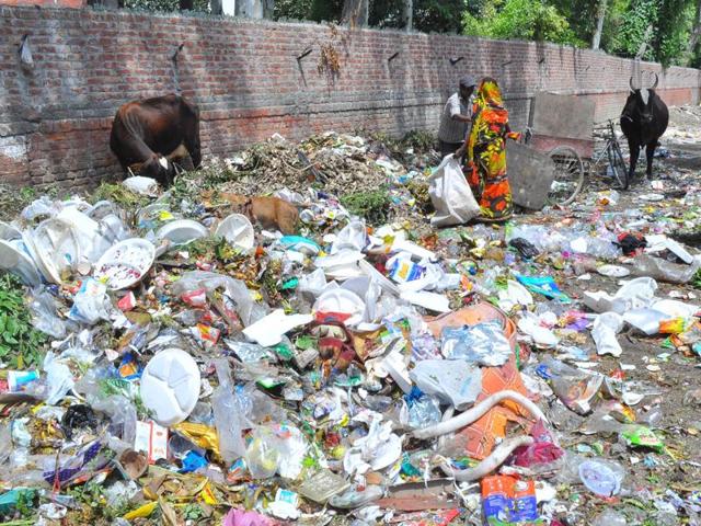 Under a campaign launched by Bhind district collector Ilayaraja T, students were asked to clear drains and heaps of garbage with the help of brooms and spades. (HT file photo) Under a campaign launched by Bhind district collector Ilayaraja T, students were asked to clear drains and heaps of garbage with the help of brooms and spades. (HT file photo)